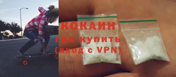 PSILOCYBIN Белокуриха
