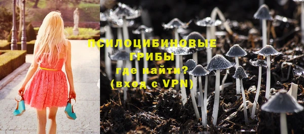 apvp Белоозёрский