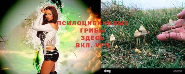 apvp Белоозёрский