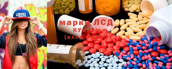PSILOCYBIN Белокуриха