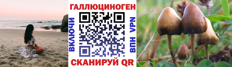 shop какой сайт  Нижний Новгород  Псилоцибиновые грибы прущие грибы 
